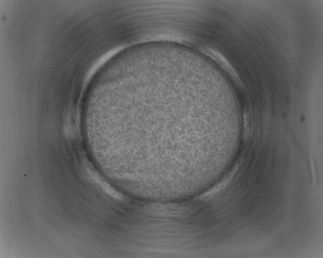 X0000081310780200702012333