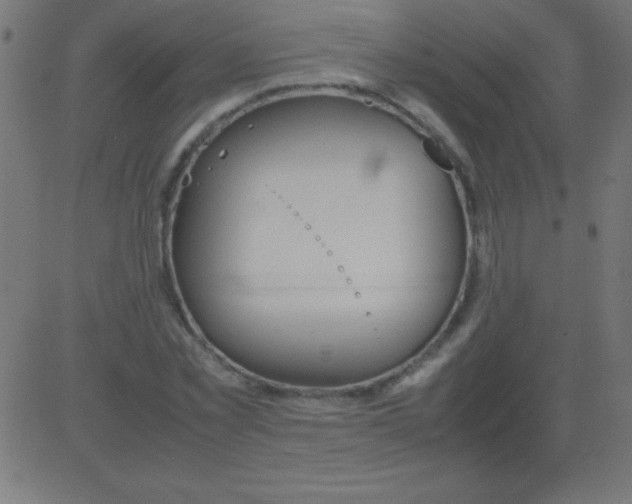 X0000081310781200702012333