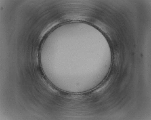 X0000081310782200702012333