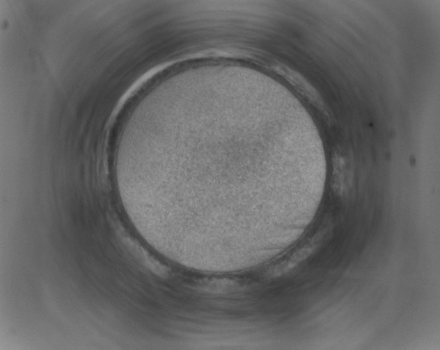 X0000081310784200702012333