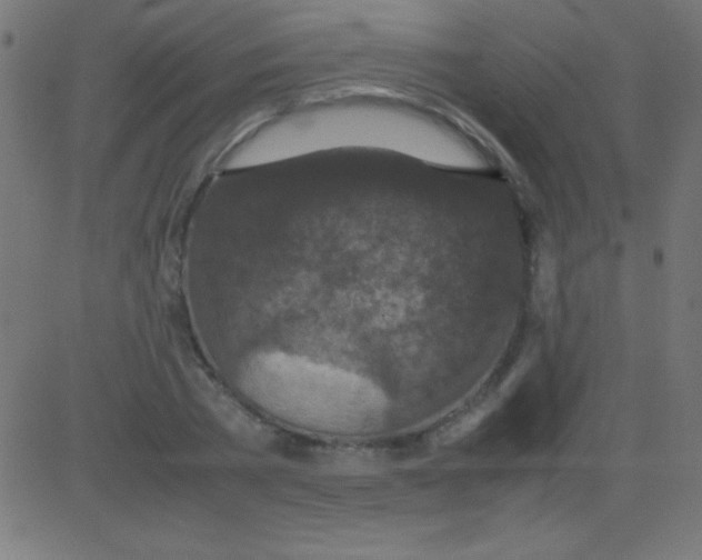 X0000081310785200702012333