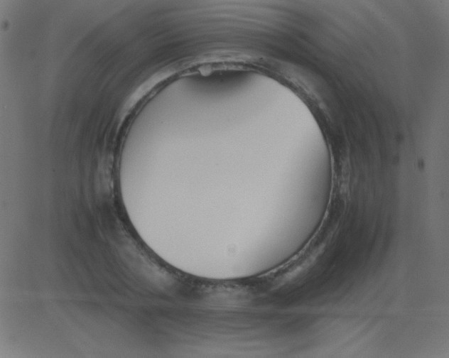 X0000081310786200702012333