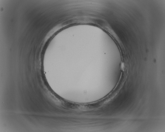 X0000081310787200702012333