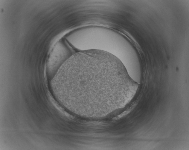 X0000081310788200702012333