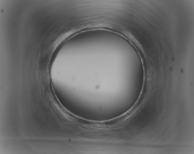 X0000081310789200702012333