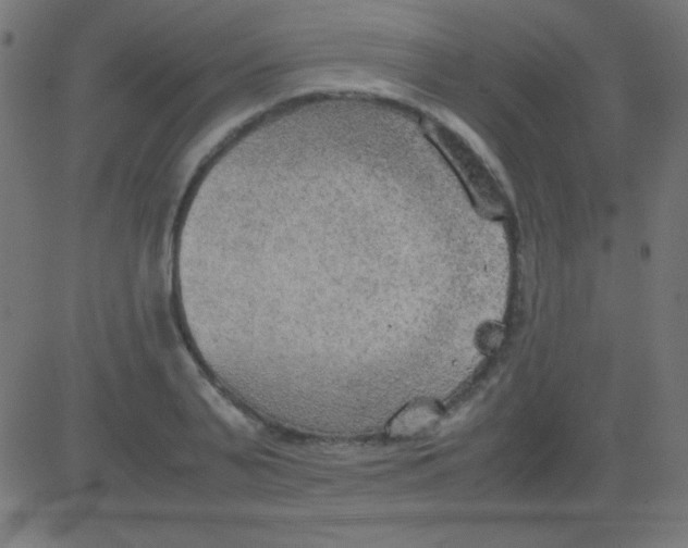 X0000081310791200702012333