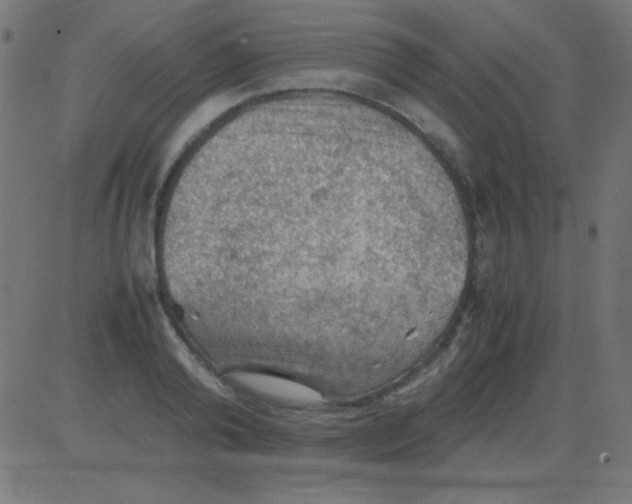 X0000081310792200702012333