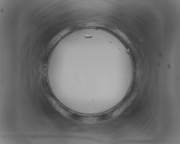 X0000081310793200702012333