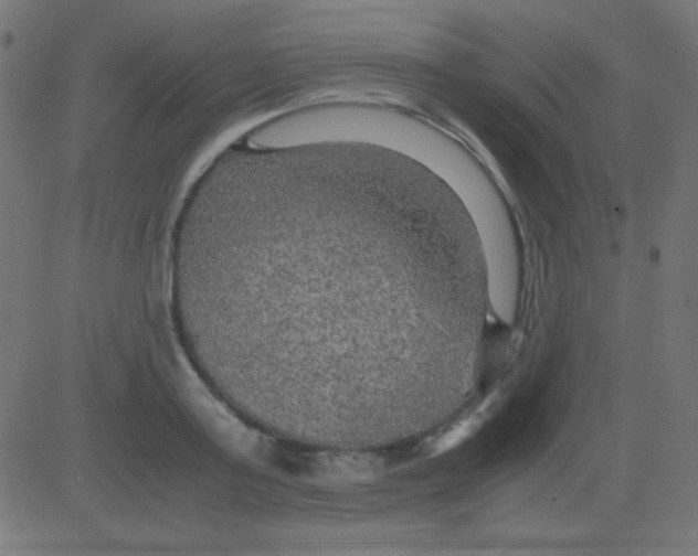 X0000081310795200702012333