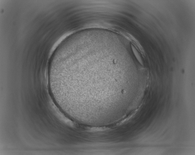 X0000081310796200702012333