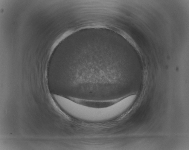 X0000081310797200702012333