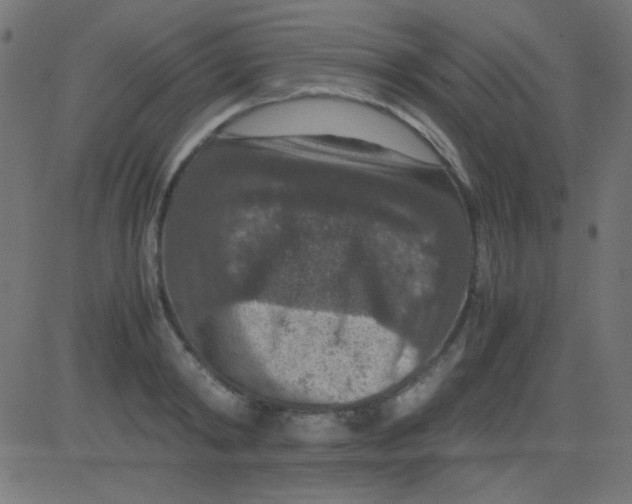 X0000081310798200702012333