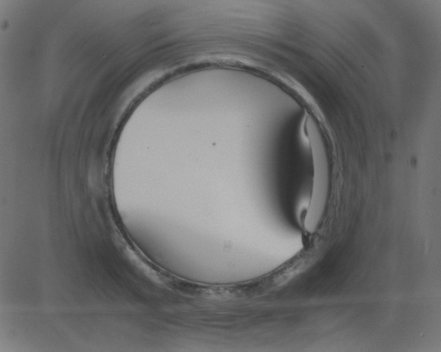 X0000081310799200702012333