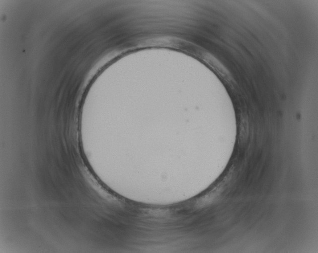 X0000081310800200702012333