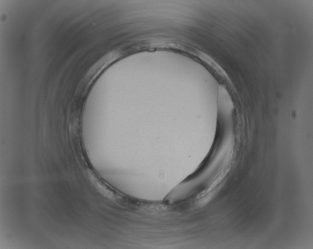 X0000081310801200702012333