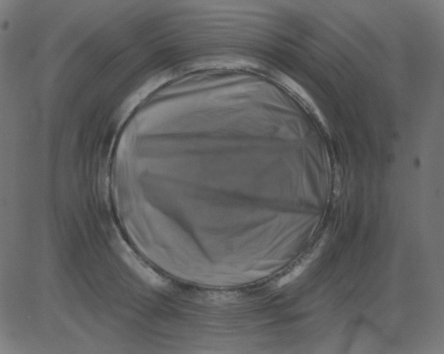 X0000081310802200702012333