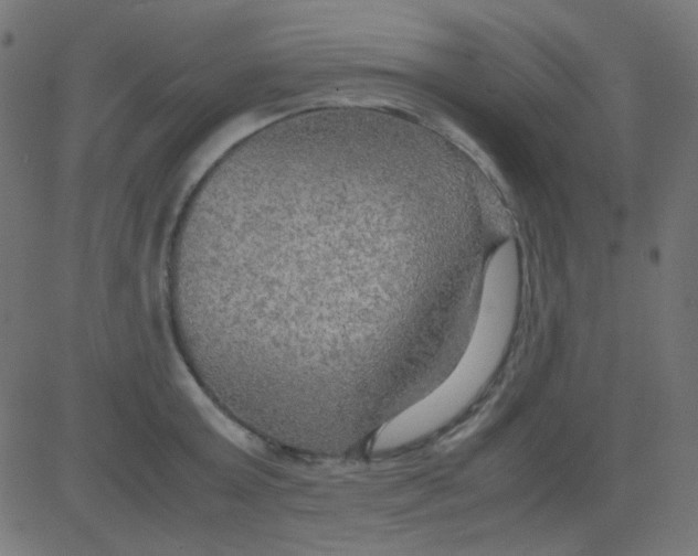 X0000081310803200702012333