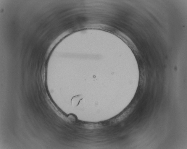 X0000081310804200702012333