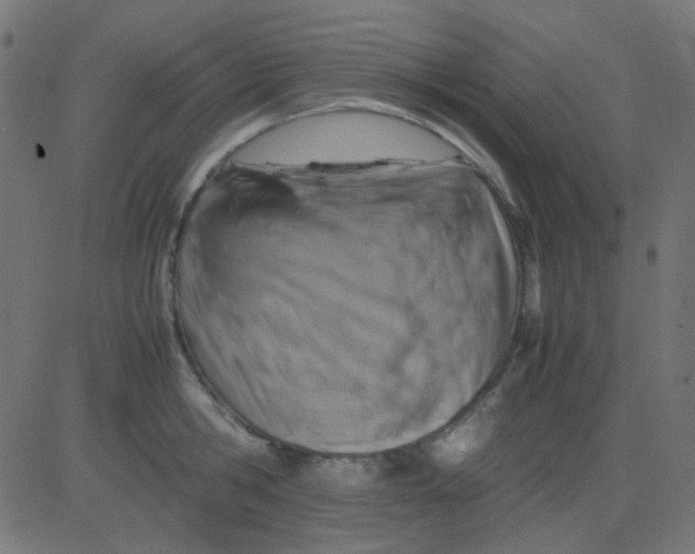 X0000081310806200702012333