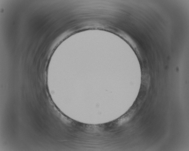 X0000081310807200702012333