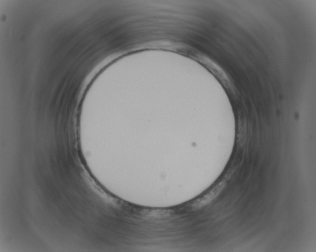 X0000081310808200702012333