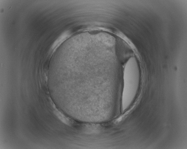 X0000081310809200702012333