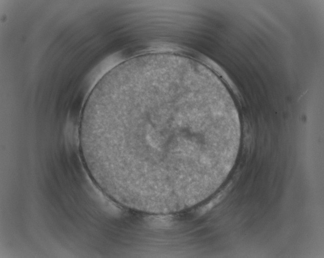 X0000081310810200702012333