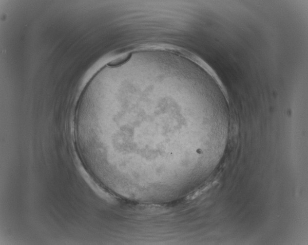 X0000081310811200702012333