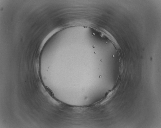 X0000081310812200702012333