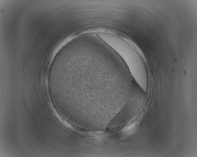 X0000081310813200702012333