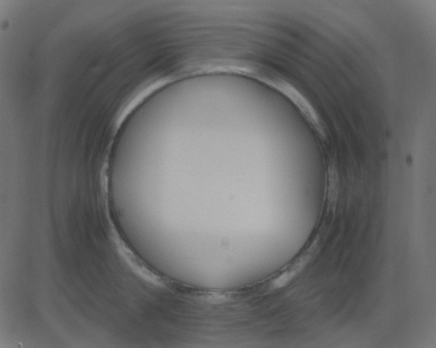 X0000081310814200702012333