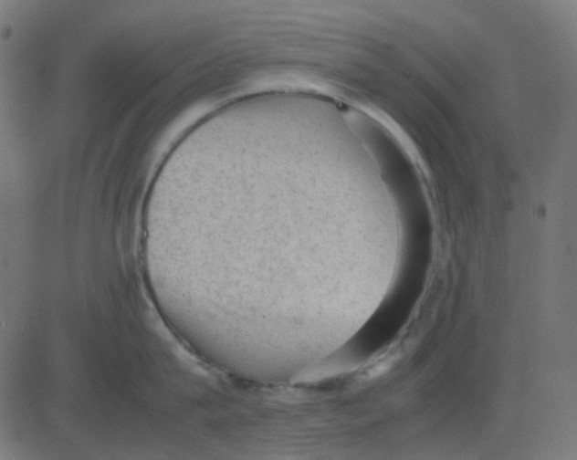 X0000081310815200702012333