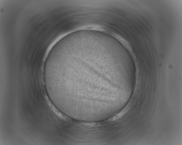 X0000081310816200702012333