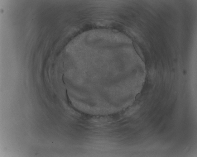 X0000081310817200702012332