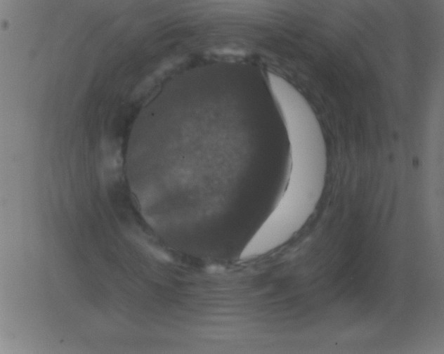 X0000081310818200702012332