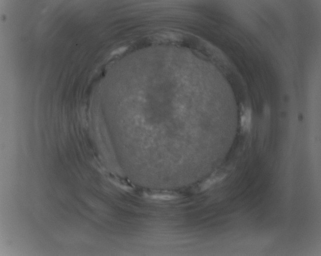 X0000081310819200702012332