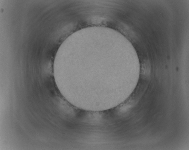 X0000081310820200702012332