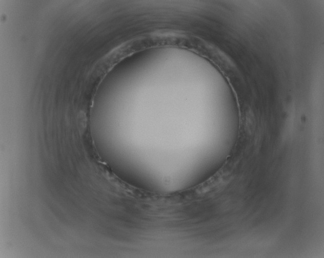 X0000081310821200702012332