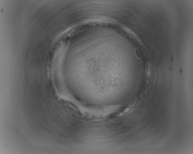 X0000081310822200702012332