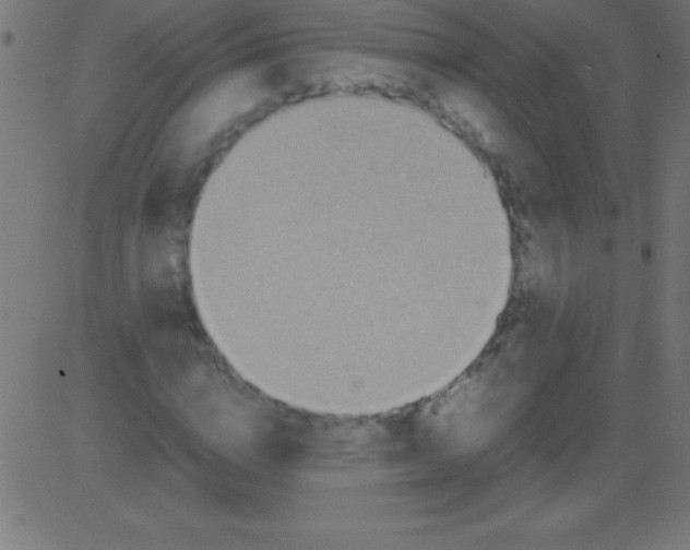 X0000081310824200702012332