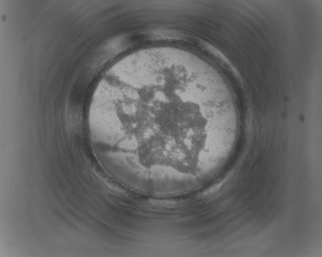 X0000081310825200702012332