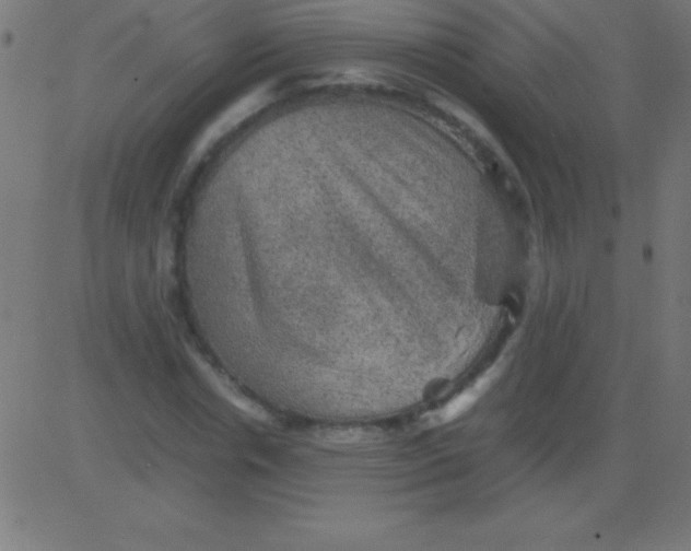 X0000081310826200702012332