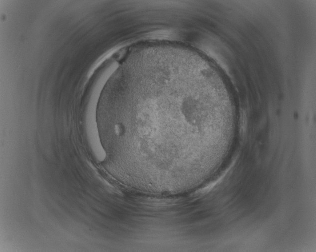 X0000081310829200702012332