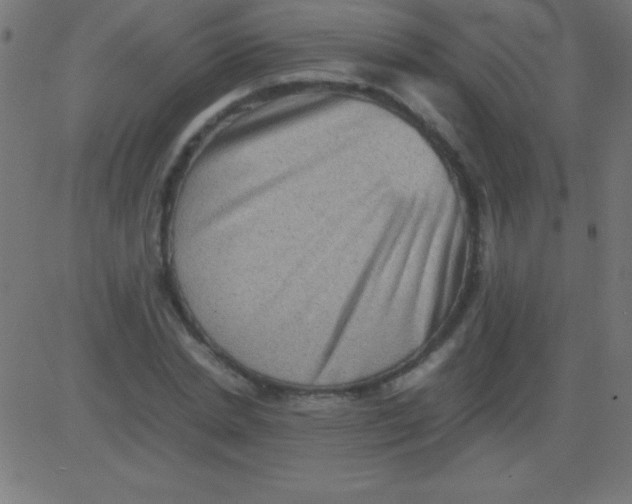 X0000081310830200702012332