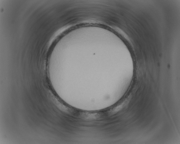 X0000081310831200702012332