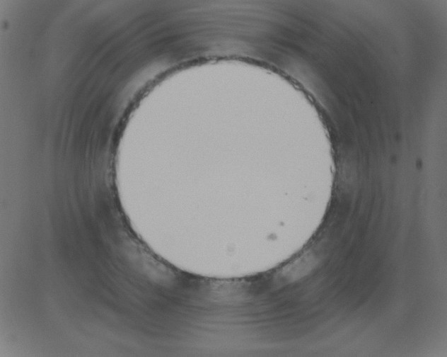 X0000081310832200702012332