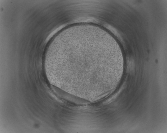 X0000081310834200702012332