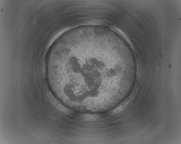 X0000081310835200702012332