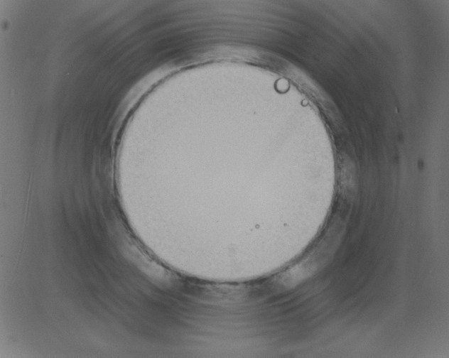 X0000081310836200702012332