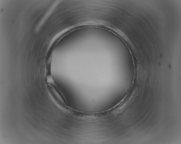 X0000081310838200702012332